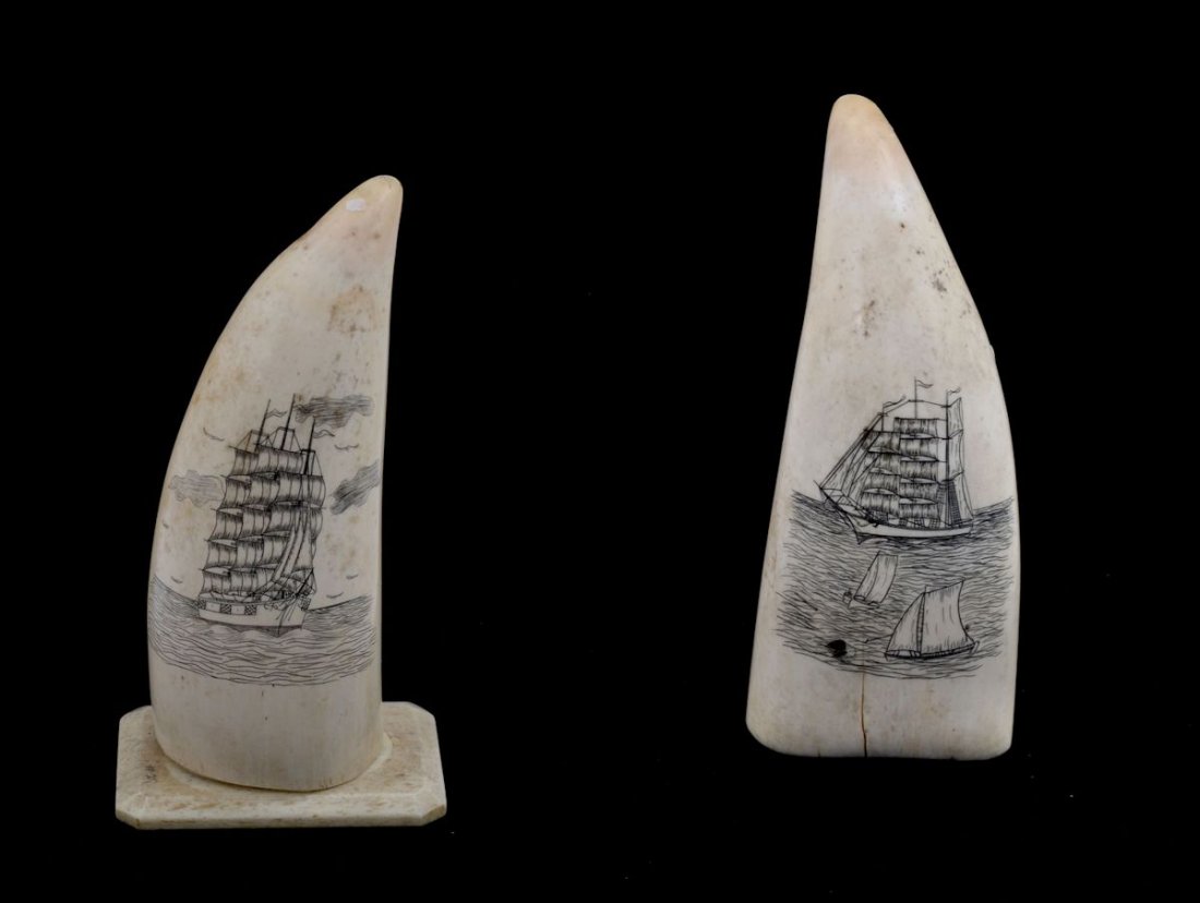 SCRIMSHAW 2 PIECE LOT: SCRIMSHAW 2 PIECE LOT: (1) SCRIMSHAW SPERM WHALE TOOTH WITH STAND: 20th century, scene of a clipper ship at sea with clouds and birds, marked inside 13 Anabela P. 5 1/4" h., sold with a bone stand 3 1