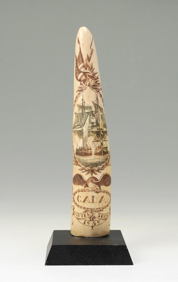 ROBERT SPRING SCRIMSHAW WALRUS TUSK: ROBERT SPRING SCRIMSHAW WALRUS TUSK: Scrimshaw tusk featuring 2 tall ships in rope and foliate medallion, flag, drum and musket above, eagle below. Presentation trophy for the C.A.D.A. (Collector Arms