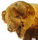 1: TEDDY BEAR ON WHEELS attrib to STEIFF - 2