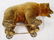 1: TEDDY BEAR ON WHEELS attrib to STEIFF - 3