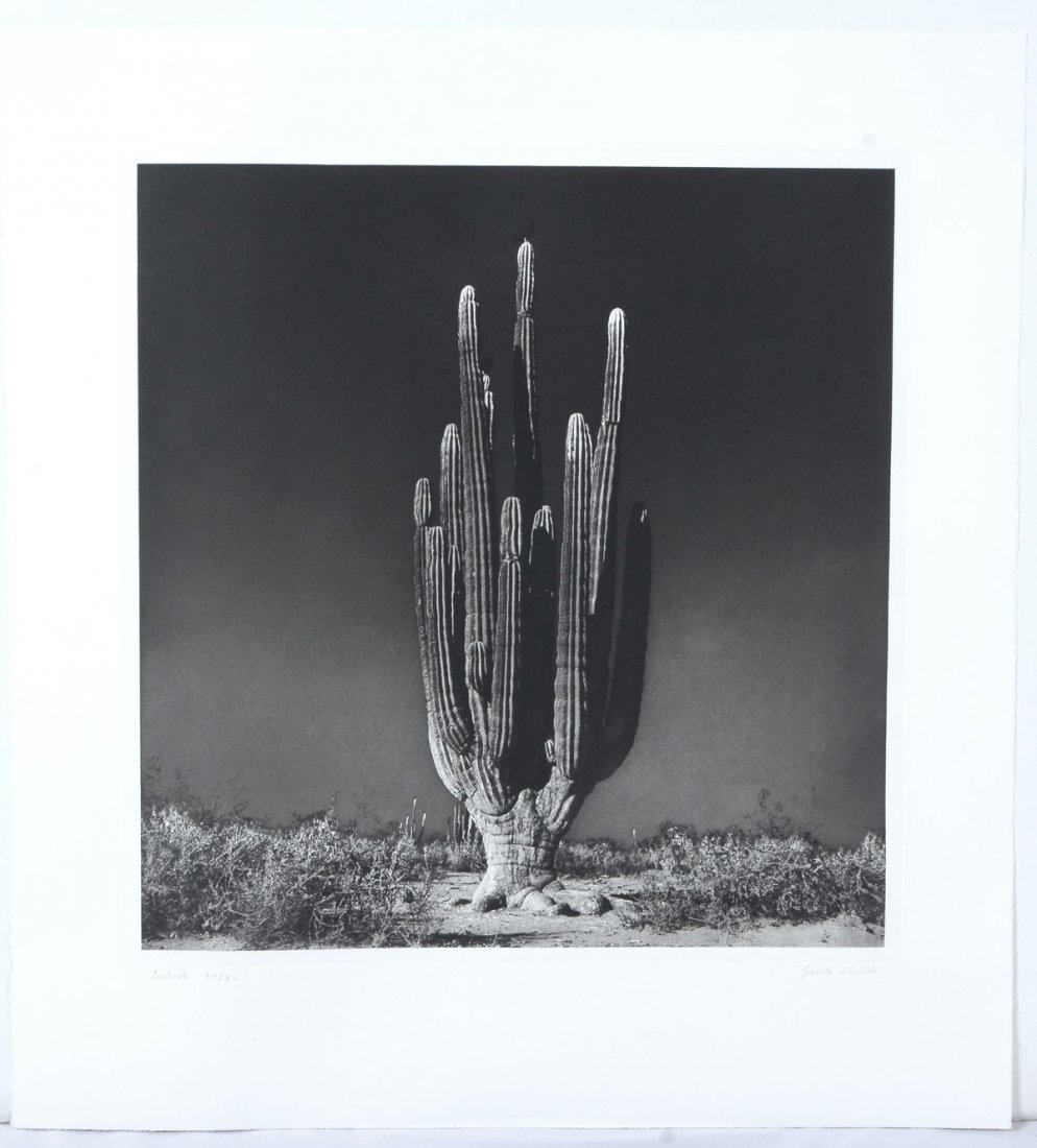 ITURBIDE PHOTOGRAVURE "CENTINELA": ITURBIDE, Graciela, (Mexican, 1942-): "Centinela", photogravure, 33.125" x 30.75", signed lower right, numbered lower left XII/XL, USF Graphictudio blindstamp, unframed. Out of Print.