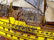 311: LARGE MODEL OF SPANISH GALLEON SAILING SHIP - 5