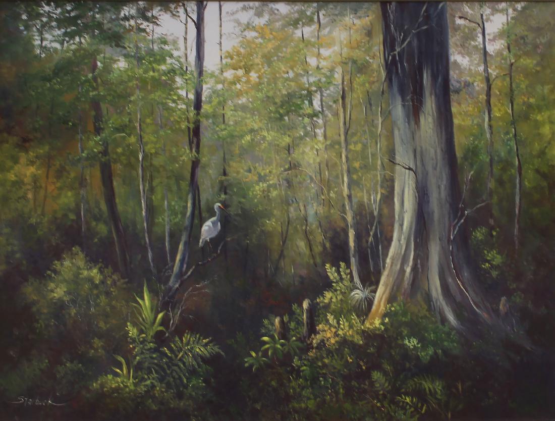 LARGE DOROTHY STARBUCK FLORIDA PAINTING: STARBUCK, Dorothy, (American, 20th C.): Florida Jungle, Oil/Canvas, 36'' x 48'', signed lower left, framed, 41'' x 54''.
