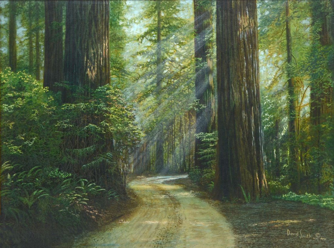 DAVID SMITH REDWOOD FOREST LANDSCAPE PAINTING: DAVID SMITH REDWOOD FOREST LANDSCAPE PAINTING: Oil/Canvas, 18" x 24", signed lower right and dated 1970, framed 26.25" x 32".