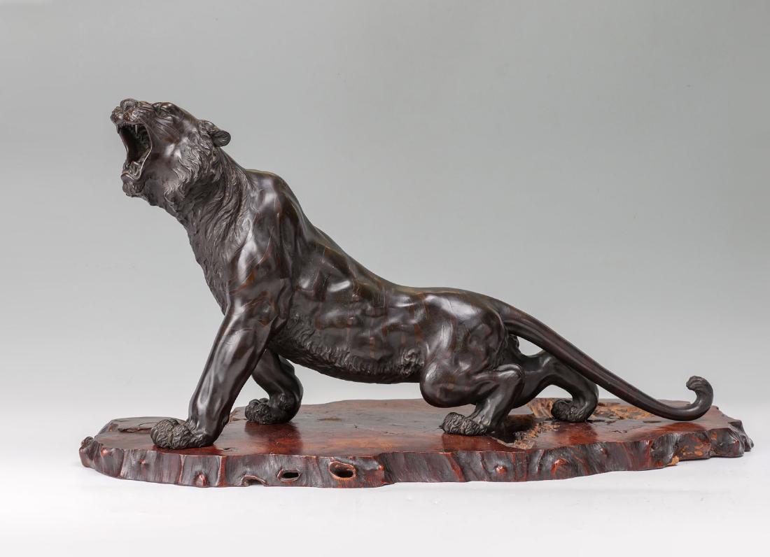 IMPRESSIVE LARGE MEIJI JAPANESE BRONZE TIGER: IMPRESSIVE LARGE MEIJI JAPANESE BRONZE TIGER: Signed under one of the paws and the abdomen, 14.75" in height, approximately 27.50" in width, affixed to a period burl wood base 1.50" in height x 32" in