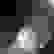 item-71137883=4