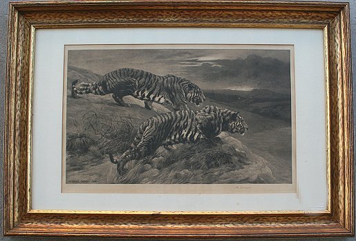 DICKSEE ETCHING THE DESTROYERS TIGERS CROUCHING - 2
