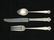 75 PC. LUNT ''ENGLISH SHELL'' STERLING FLATWARE - 2