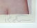 BERT STERN MARILYN MONROE PHOTOGRAPH AND BOOK - 3