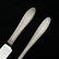55 PC. INTERNATIONAL "WEDGEWOOD" STERLING FLATWARE - 3