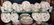 307: 61 PC WEDGWOOD SWALLOW FINE CHINA SERVICE FOR 12