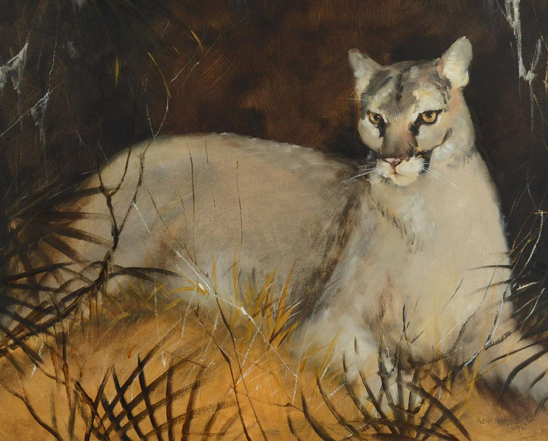 GENE BARBER FLORIDA PANTHER PAINTING: BARBER, Gene, (American, 1935-2005): Florida Panther, Oil/Canvas, sight size 23 3/4'' x 30 1/4'', signed lower right, painted frame, 33'' x 38 1/2''.