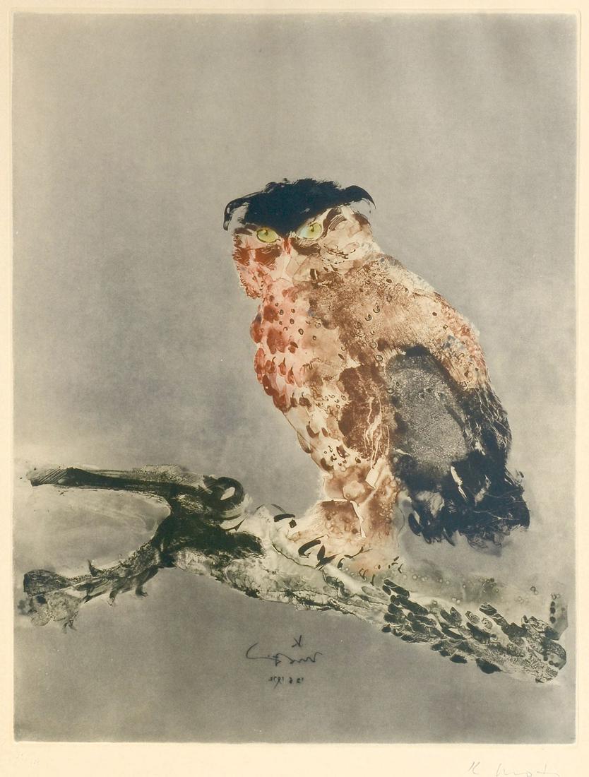 KAIKO MOTI OWL ETCHING: MOTI, Kaiko, (India, 1921-1989): Owl etching and aquatint, sight size 29.5" x 22", pencil signed lower right, numbered 25 of 120 lower left, modern chrome frame, 30.5" x 23.25".