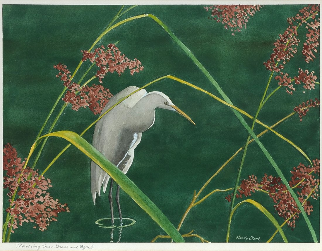 RANDY CLARK EGRET FISHING WATERCOLOR PAINTING: CLARK, Randy, (American, 20th-21st C): "Flowering Sawgrass and Egret", Watercolor, sight size 14" x 18.25", signed lower right, signed and titled lower left and framed, 21" x 25".