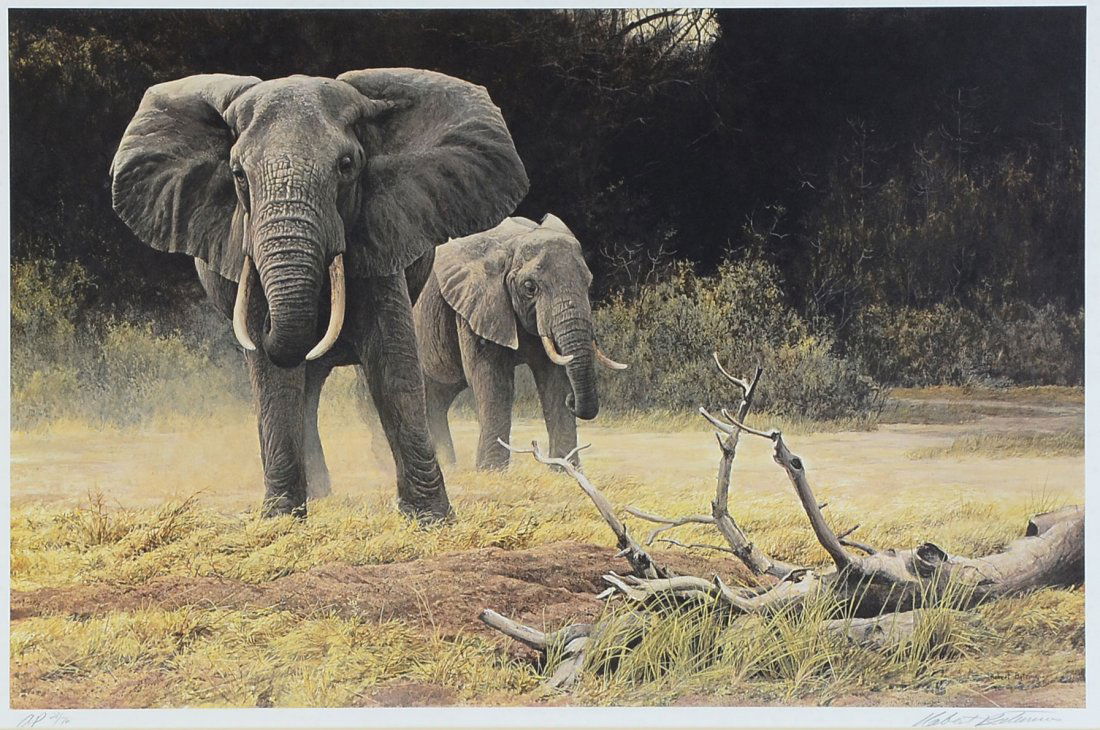 BATEMAN ARTIST PROOF ELEPHANT COW AND CALF: BATEMAN, Robert, (Canadian, 1930-): "Elephant Cow and Calf", Artist Proof Lithograph, sight size 20.5" x 30.5", signed lower right, numbered AP 28/76, Mill Pond Press COA verso, framed, 30.5" x 40.5".