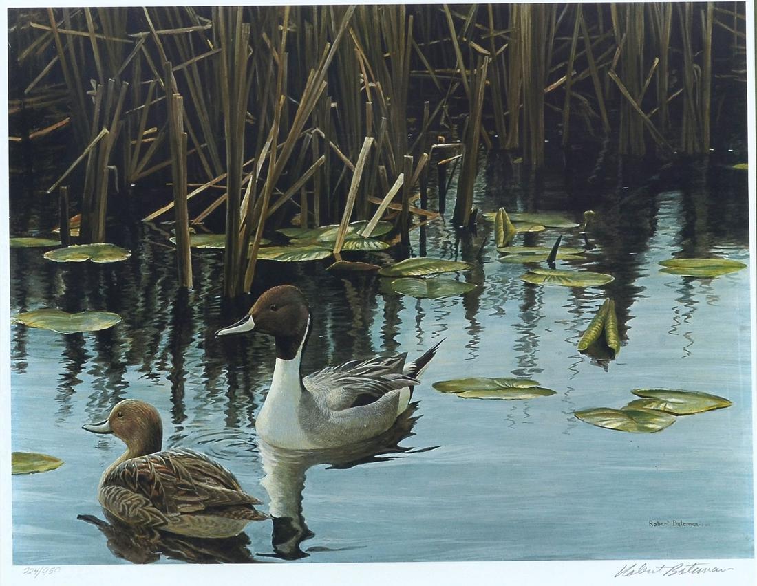 ROBERT BATEMAN OFFSET LITHOGRAPH OF DUCKS: BATEMAN, Robert, (Canadian, 1930-): ''Spring Marsh-Pintail Pair'', Offset Lithograph, sight size 19'' x 23'', pencil signed lower right and numbered 224/950 lower left, frame, 28.5''x 33.5''.