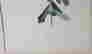 item-94118202=3