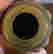 item-94263541=5