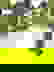 item-842503=4