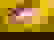 item-842508=2