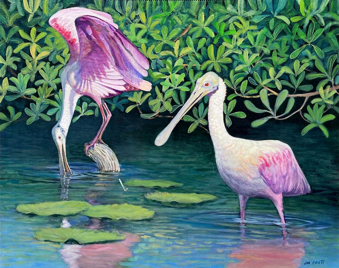 JIM FOOTE ROSEATE SPOONBILLS PAINTING: FOOTE, Jim, (American, 1925-2004): Roseate Spoonbills, Oil/Canvas, 24'' x 30'', signed lower right, framed, 29.25'' x 35''.