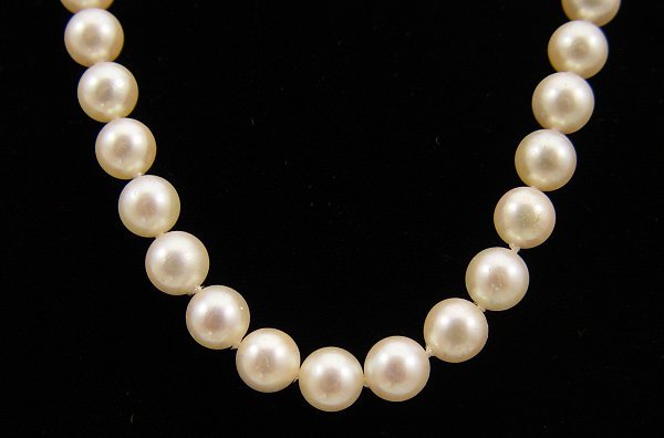 18" MIKIMOTO CULTURED PEARLS 18k CLASP: MIKIMOTO CULTURED PEARLS: 18" strand of 6.50 - 7.00 mm cultured pearls. Mikimoto "A" quality. 18K yellow gold claps. Signed: Mikimoto.