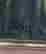 item-108752227=3
