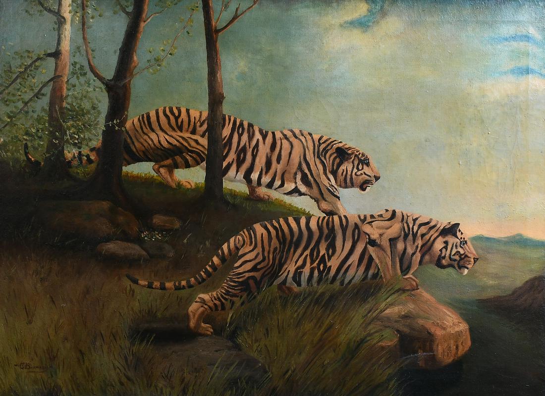 CLARENCE BARNARD ILLUSTRATION OF TIGERS STALKING: BARNARD, Clarence, (American, 20th Century): Tigers Stalking, Oil/Canvas, 30'' x 40.25'', signed lower left, framed, 34.75'' x 45''.