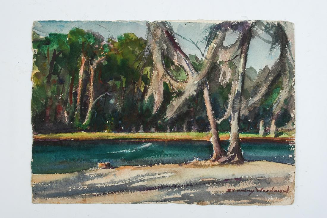 STANLEY WOODWARD MYAKKA RIVER PAINTING (1 of 3)