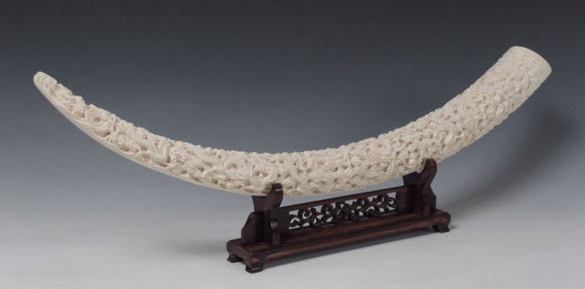 DRAGON CARVED IVORY ELEPHANT TUSK: CARVED ELEPHANT TUSK: Carved in an overall entwined dragons design. Measures approx. 34" l., the large end at 3 3/4" dia. Sold with the wood display stand.
