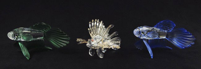 SWAROVSKI CRYSTAL LION & SIAMESE FIGHTING FISH: SWAROVSKI CRYSTAL FISH: 3 pieces to include, BLUE SIAMESE FIGHTING FISH and GREEN SIAMESE FIGHTING FISH, H. Tabertshofer, issued 1999 retired 2007 & issued 2000 retired 2004; LION FISH 7644, M. Zendro