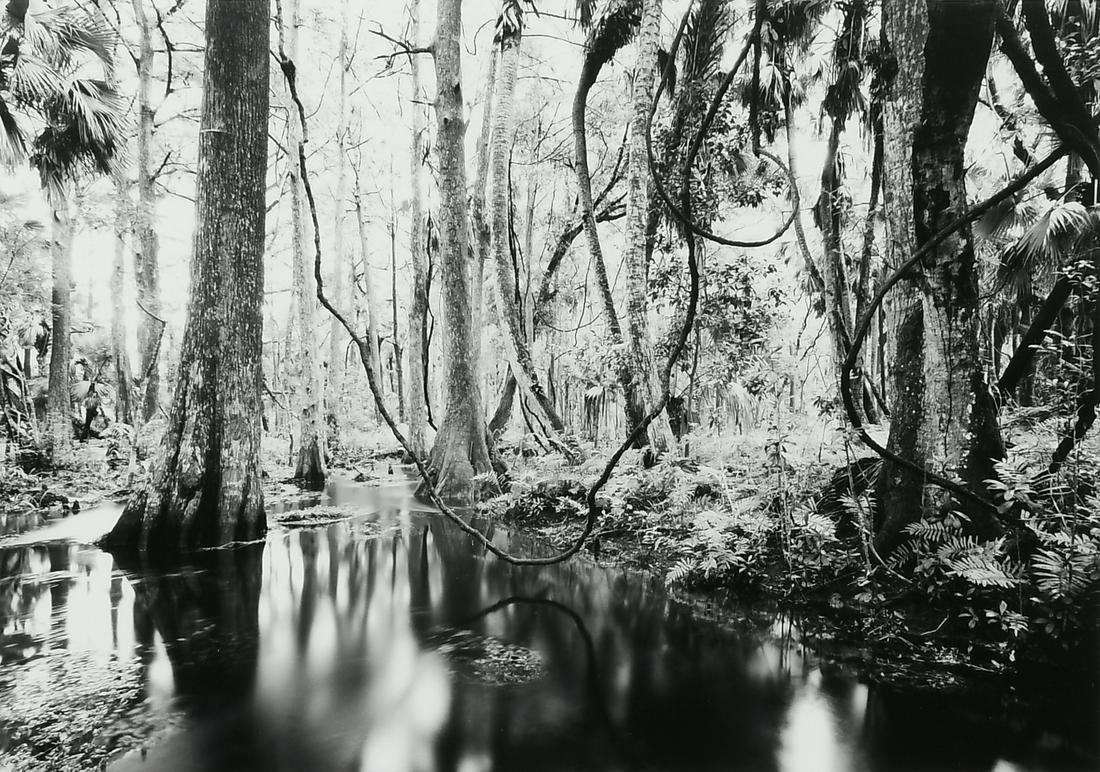 CLYDE BUTCHER FLORIDA PHOTOGRAPH FRAMED SIGNED NUMBERED 1/10 (1 of 5)
