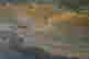 item-133419649=2