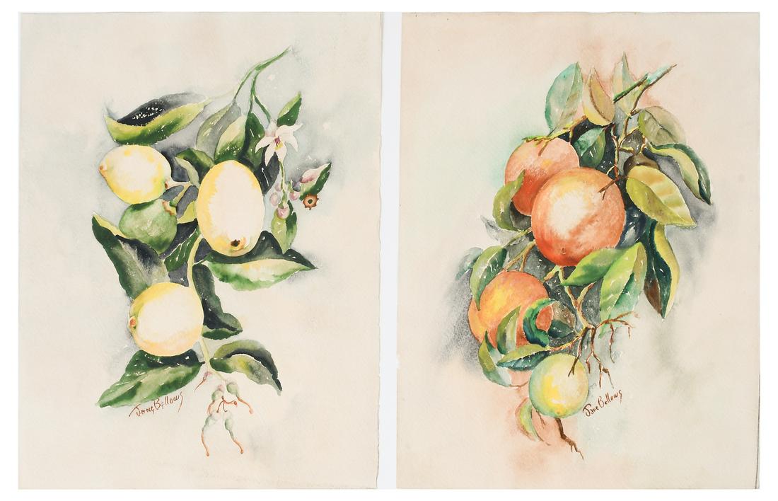 2 JANE BELLOWS STILL LIFE PAINTINGS: 2 JANE BELLOWS STILL LIFE PAINTINGS: 1) Still Life of Oranges; 2) Still Life of Lemons. Both Watercolors, 24" x 1", signed in lower margin, and unframed.