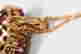 item-133419797=4