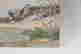 item-133947003=3