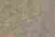 item-135582471=7