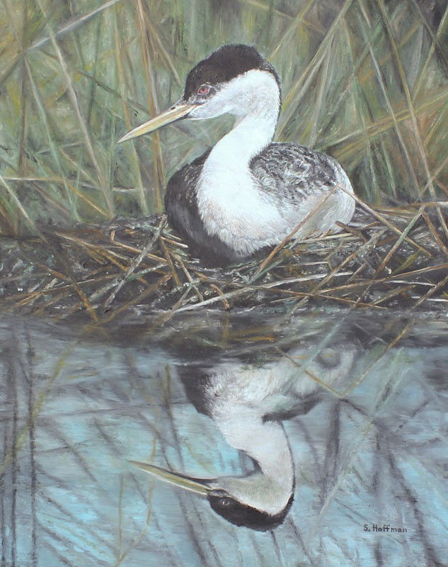 SHIRLEY HOFFMAN KING PAINTING: HOFFMAN, Shirley, (American, 20th C.): Kingfisher, Oil/Canvas, 20'' x 16'', signed lower right 'S. Hoffman', framed, 24'' x 20''.
