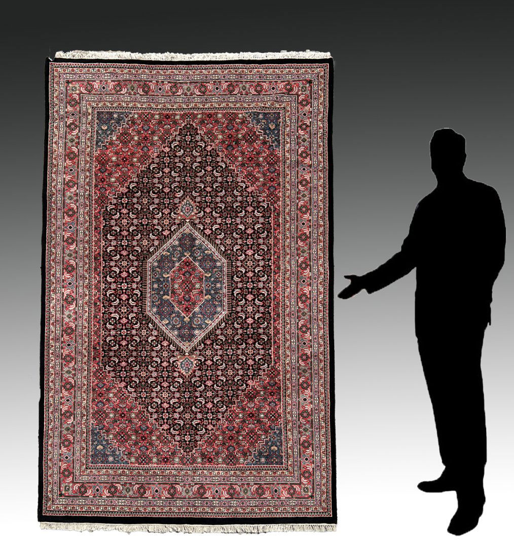 INDO-PERSIAN HAND KNOTTED WOOL RUG, 6'7" x 10' (1 of 4)