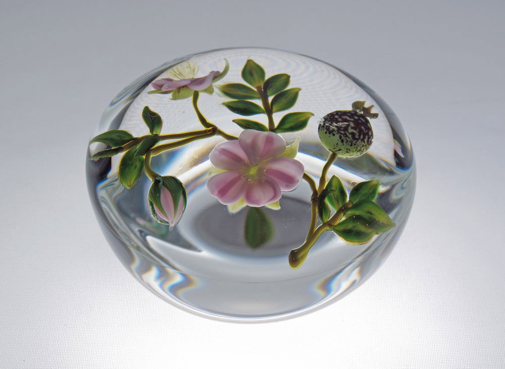 PAUL STANKARD WILD ROSE PAPERWEIGHT: PAUL STANKARD WILD ROSE PAPERWEIGHT: Signed with the S cane, incised 17/100 A186. 3'' dia. 1.5'' h.