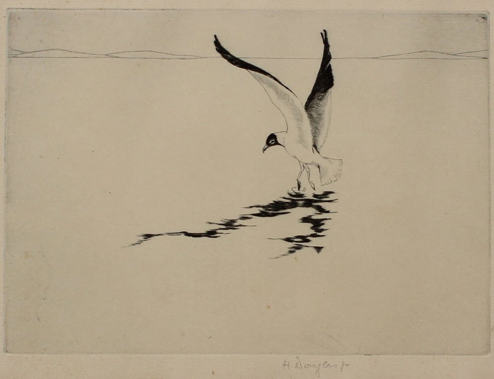 DOUGLAS SEAGULL ETCHING: DOUGLAS, H., (American, 20th C.): ''The Toe Dancer, Seagull'', Etching With Drypoint, 8 1/2'' x 10 3/8'' with margins, plate size 4 3/4'' x 6 3/4'', pencil signed lower right, titled on the mat verso,
