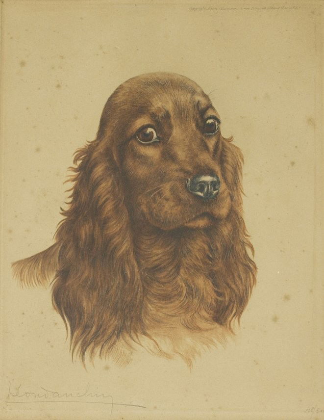 DANCHIN COCKER SPANIEL HELIOGRAVURE: DANCHIN, Leon, (French, 1887-1939): ''Red Cocker'', Color Heliogravure, 20 1/2'' x 13'' with margins, pencil signed #48 of 500, titled lower left margin and lower right margin.