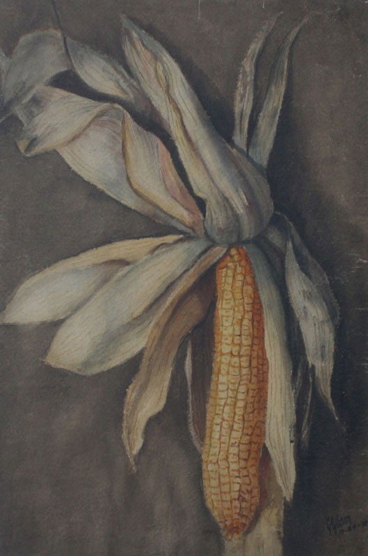 GIBSON CORN WATERCOLOR PAINTING: G. GIBSON WATERCOLOR STILL LIFE OF CORN: Sight size 17 1/2" x 12", signed lower right and dated 1900, framed, 26 1/2" x 22 1/2".