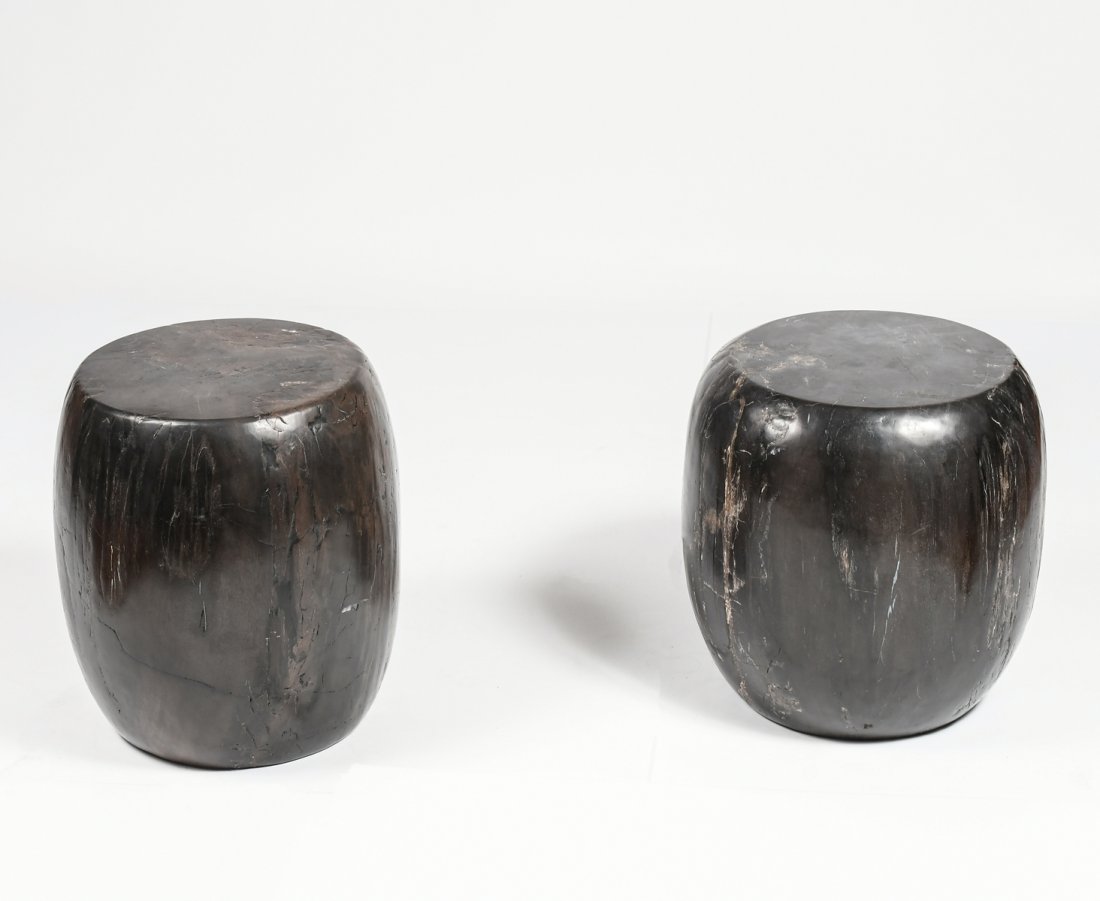 TWO PETRIFIED WOOD STOOLS / GARDEN SEATS (1 of 6)