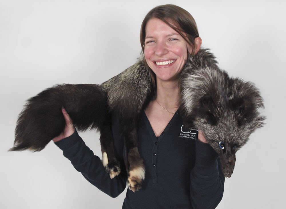 FULL SILVER FOX WRAP: FULL SILVER FOX WRAP: 47" length from the tip of his nose to his tail.