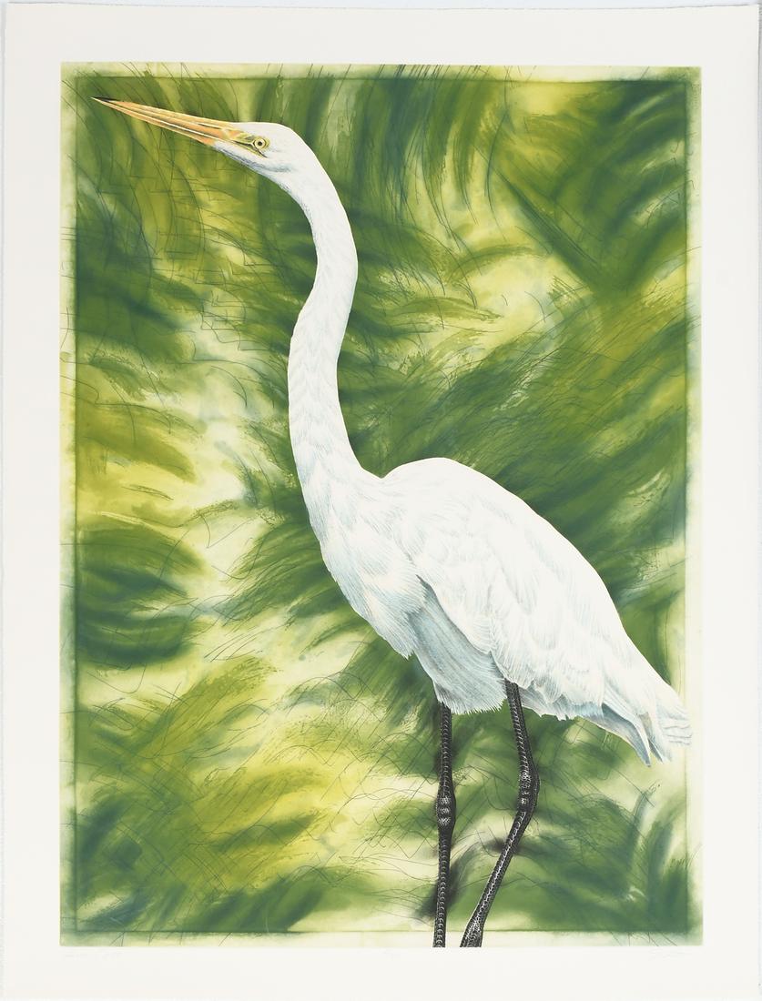 LARGE FLORIDA BIRDS ETCHING PORTFOLIO BY JOHN COST: COSTIN, John, (American, 20th/21st Century): Large Florida Birds Etching Portfolio consisting of a colored etching of a Great Egret, 37.5'' x 28'', with margins, pencil signed lower right, titled lowe