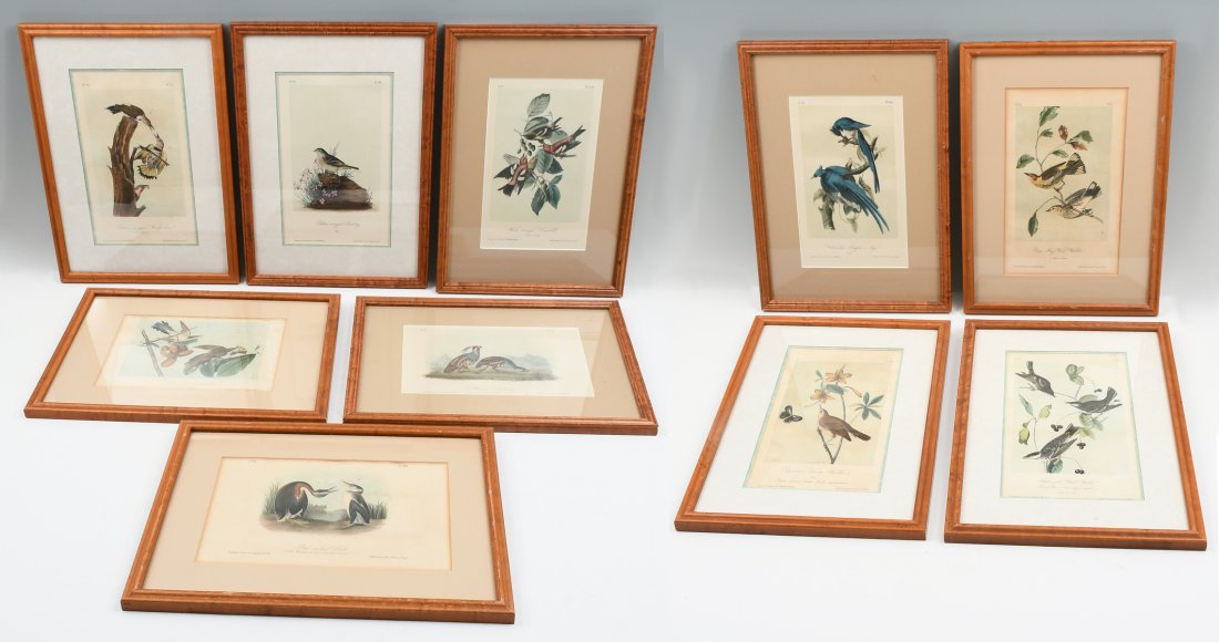11 PC. AUDUBON LITHOGRAPH LOT OCTAVO (1 of 5)