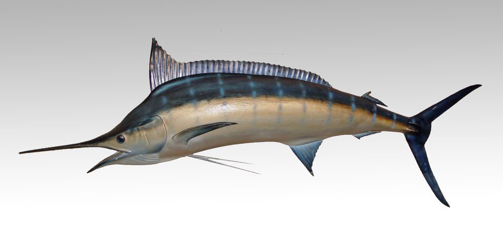 LARGE FIBERGLASS MARLIN MOUNT: LARGE FIBERGLASS MARLIN MOUNT: Approx. 32" h. x 107" x 11"