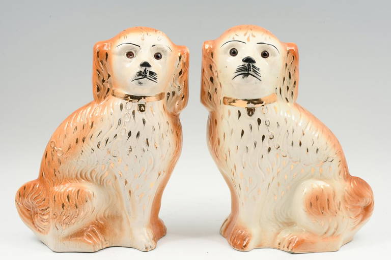 English Staffordshire Spaniel Wally Dogs With Glass Eyes