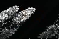 PLATINUM & DIAMOND SOLITAIRE EARRINGS